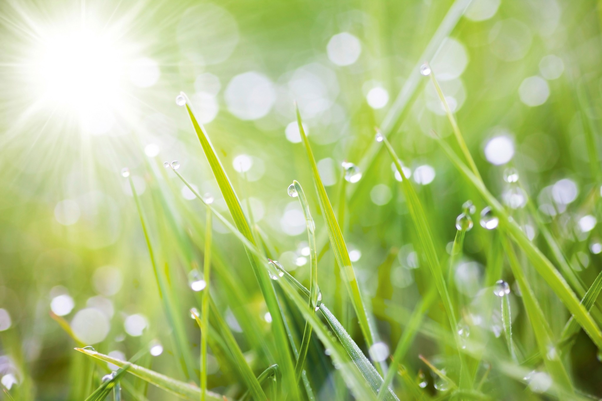 ДА УВЕЛИЧИМ ПРОСТРАНСТВОТО С НОВИТЕ ОГЛЕДАЛНИ АКРИЛНИ ПЛОСКОСТИ — изображение 2