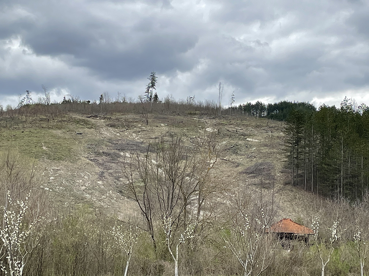 GROHE GOES GREEN — изображение 3