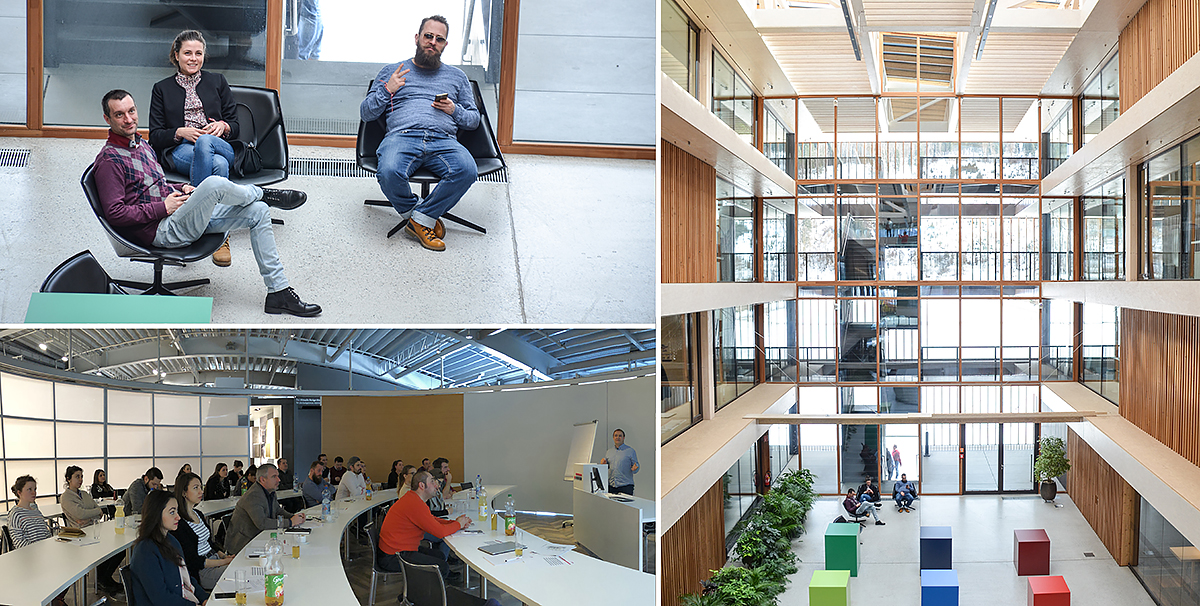 THE EGGER DIBLA TRIP — изображение 2