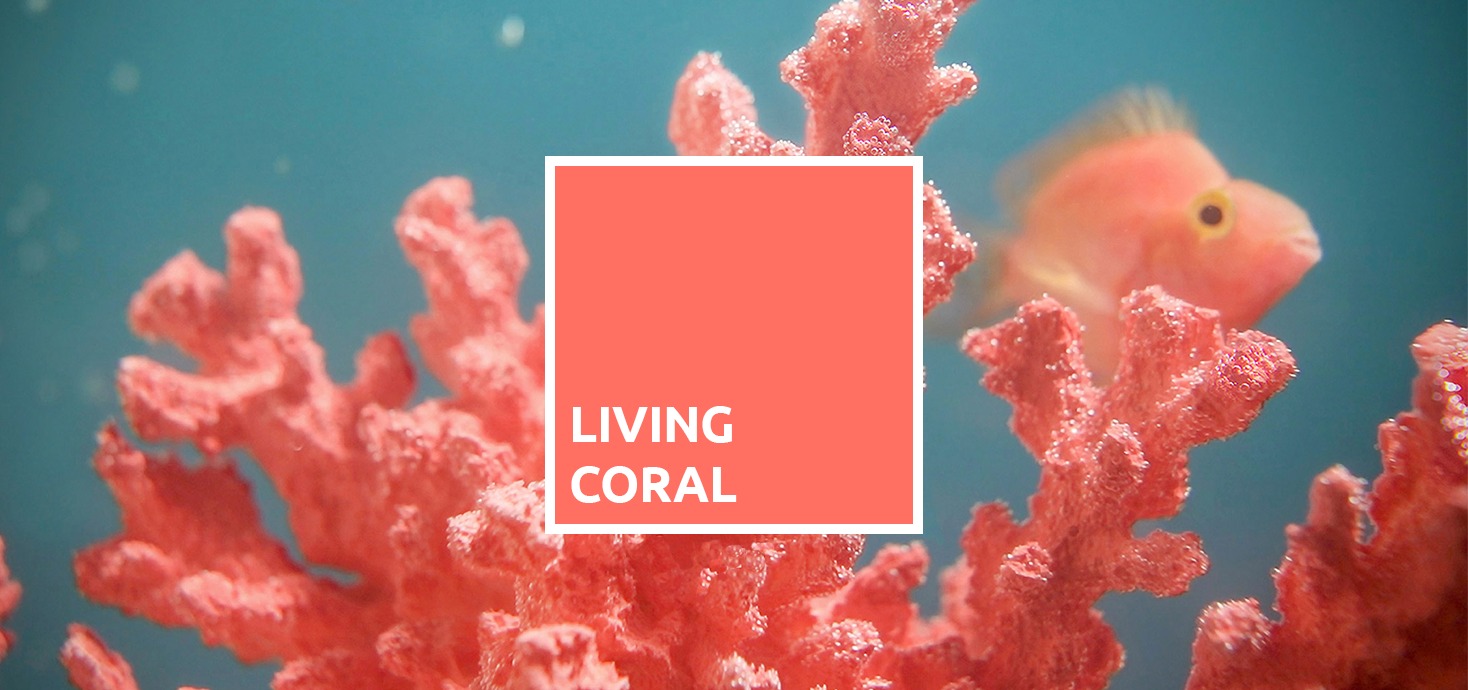 ЦВЕТОВЕТЕ НА 2019? — изображение 3