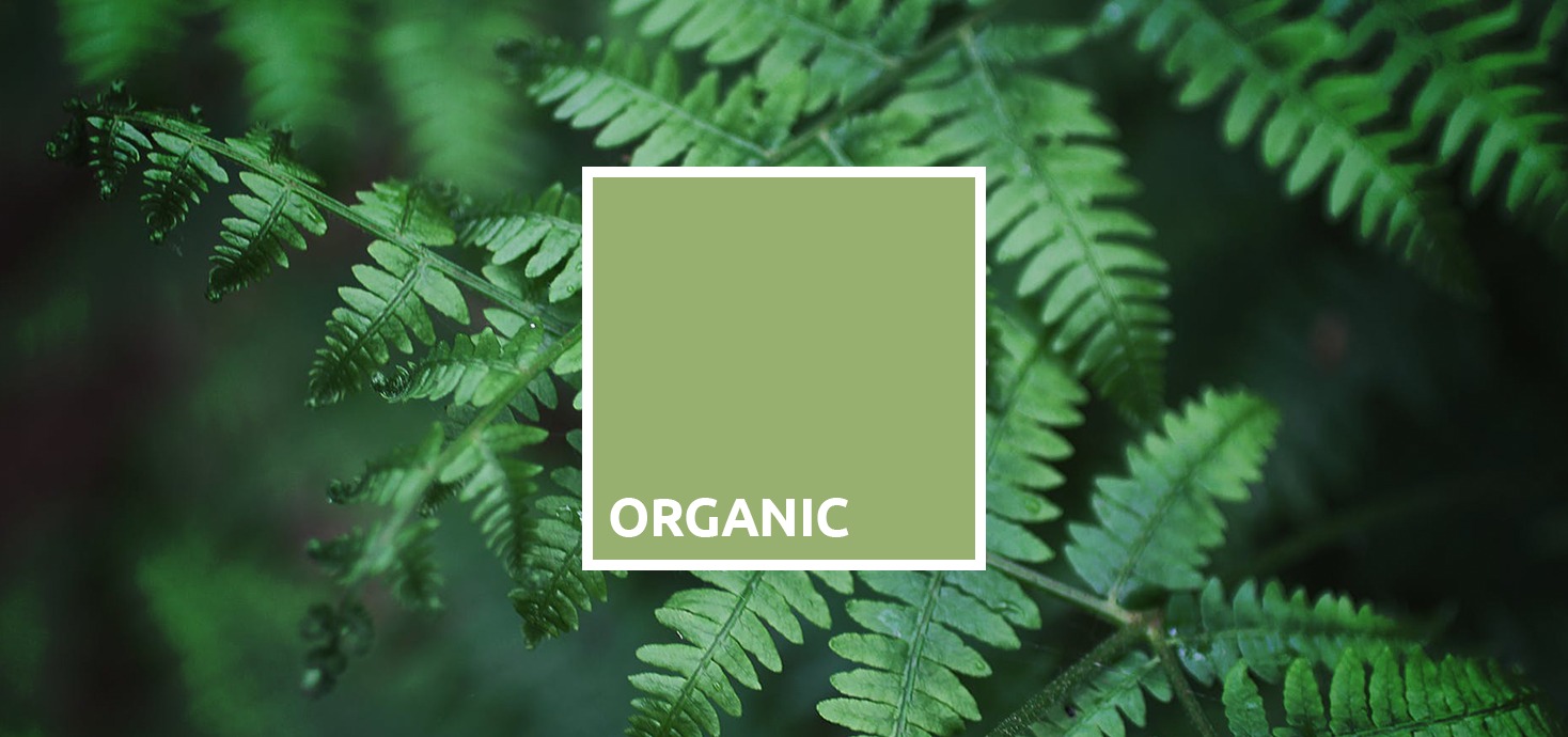 ЦВЕТОВЕТЕ НА 2019? — изображение 2